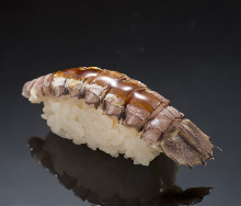 Shako(mantis shrimp)
