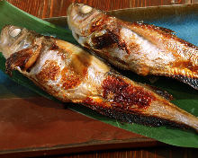 Other grilled fish