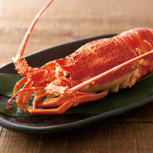 Ise ebi(spiny lobster)