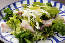 Other Japanese-style Salad