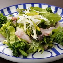 Sashimi salad