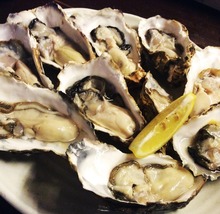 Oysters