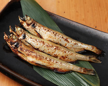 Seared shishamo smelt