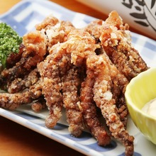 Fried squid