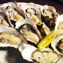 Oysters