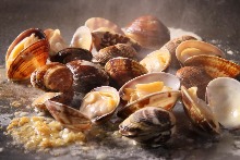 Grilled jumbo asari clams