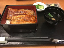 Eel served over rice in a lacquered box