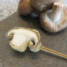 Fried shiitake mushrooms skewer