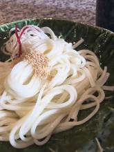 Goto udon noodle