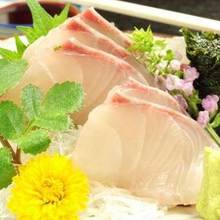 Kanpachi(amberjack)