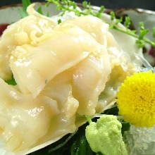 Geoduck sashimi