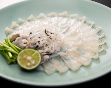 Thinly sliced pufferfish sashimi