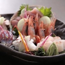 Sashimi