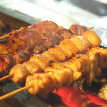 Grilled chicken skewer (salt or sauce)