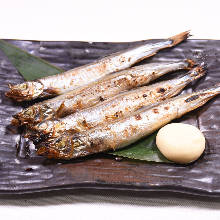 Shishamo smelt with roe