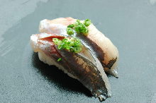 Horse mackerel nigiri sushi