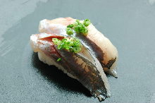 Kohada(spotted sardine)