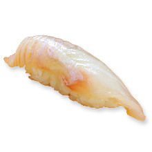 Hirame(flounder)