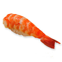 Ama ebi (pink shrimp)