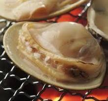 Grilled common orient clams