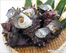 Grilled turban shell