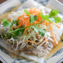 Spring roll