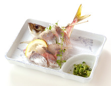 Live horse mackerel sashimi