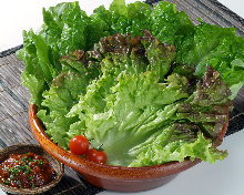 Sangchu (Korean stem lettuce)