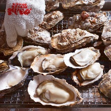 Unsalted grilled oyster