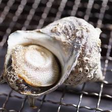 Grilled turban shell