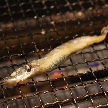 Seared shishamo smelt