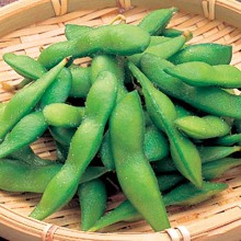 Edamame beans