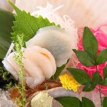 Scallop sashimi