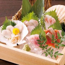 Assorted sashimi, 5 kinds