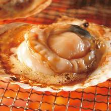 Grilled scallop