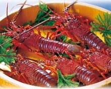 Live spiny lobster sashimi