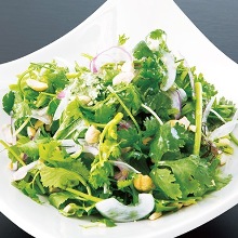 Coriander salad