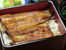 Eel served over rice in a lacquered box