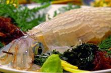 Live squid sugata-zukuri (sliced sashimi served maintaining the look of the whole squid)