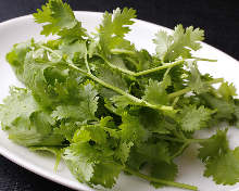 Coriander (extra)