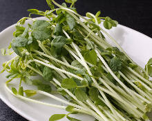 Pea shoots (extra)