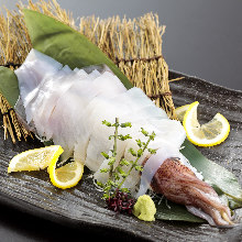 Squid sugata-zukuri (sliced sashimi served maintaining the look of the whole squid)