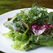 Green salad