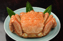 Kegani(horsehair crab)