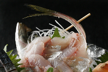 Sashimi