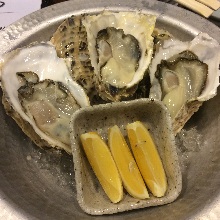 Oysters