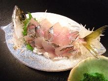 Live horse mackerel sashimi