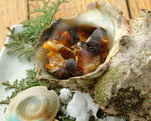 Horned turban sashimi