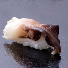 Japanese cockle