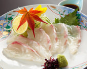 Thinly sliced sea bream sashimi